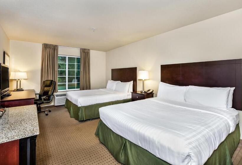 חדר סטנדרט, מיטת קינג, מותאם לאדם עם מוגבלויות, Cobblestone Inn & Suites Vinton, Ia