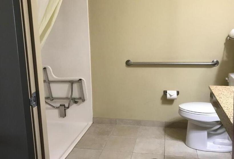 חדר סטנדרט מותאם לאדם עם מוגבלויות, Cobblestone Inn & Suites Vinton, Ia