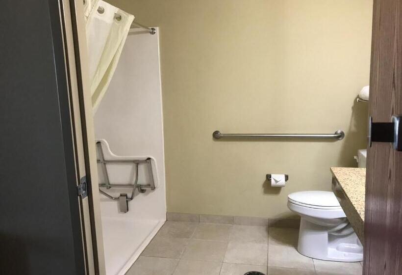 Номер Стандарт Адаптированный для Инвалидов, Cobblestone Inn & Suites   Vinton, Ia