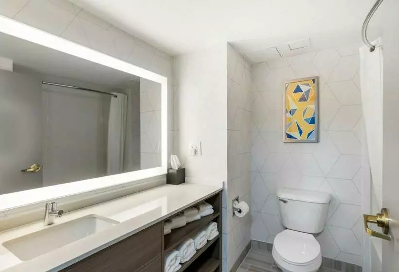 キングサイズベッドのスタンダードルーム, Comfort Inn & Suites Hampton Near Coliseum