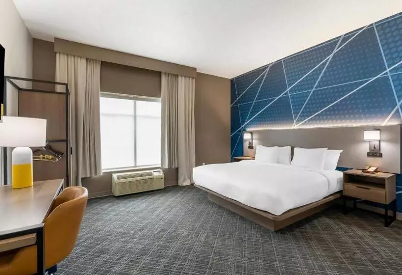 身障者適用キングサイズベッドルーム, Comfort Inn & Suites Hampton Near Coliseum