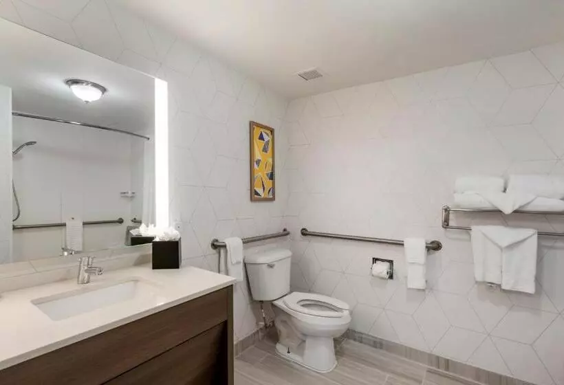 身障者適用キングサイズベッドルーム, Comfort Inn & Suites Hampton Near Coliseum