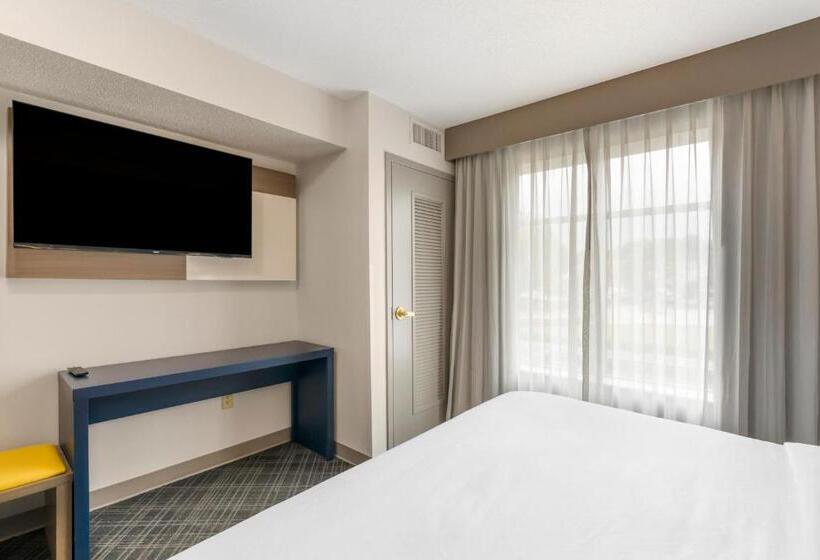 장애인을 위한 스위트, Comfort Inn & Suites Hampton Near Coliseum