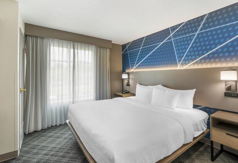 适合残疾人士使用的套间, Comfort Inn & Suites Hampton Near Coliseum