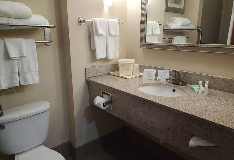 장애인을 위한 스위트, Comfort Suites Forsyth Near I75