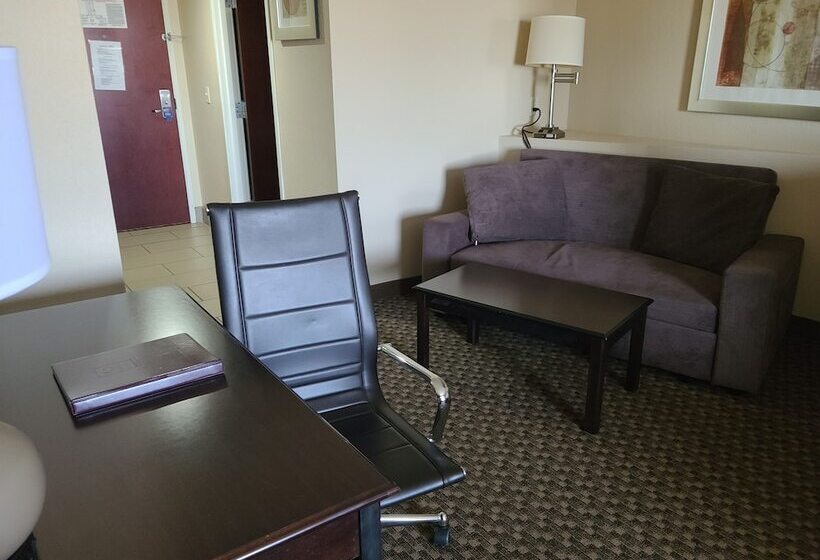 جناح لذوى الاحتياجات الخاصة, Comfort Suites Forsyth Near I75