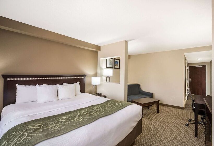 جناح لذوى الاحتياجات الخاصة, Comfort Suites Forsyth Near I75