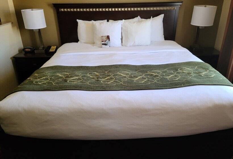 جناح لذوى الاحتياجات الخاصة, Comfort Suites Forsyth Near I75