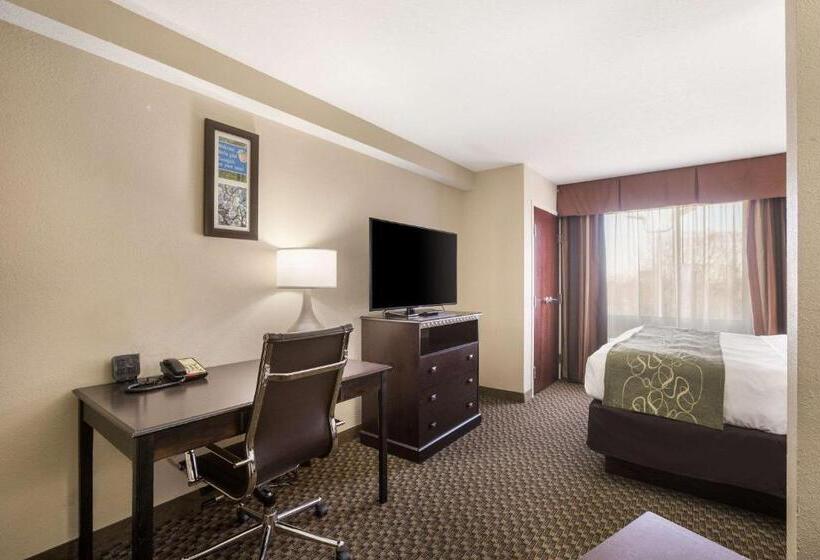 스위트 킹사이즈 침대, Comfort Suites Forsyth Near I75