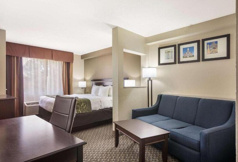 جناح سرير كينج, Comfort Suites Forsyth Near I75