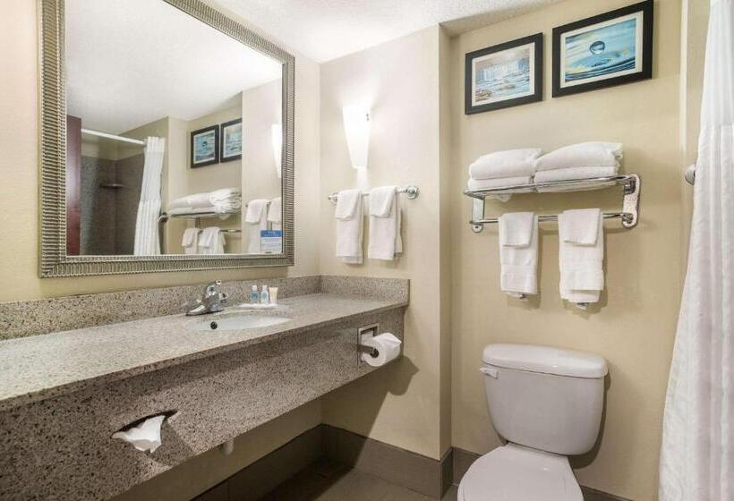 جناح سرير كينج, Comfort Suites Forsyth Near I75