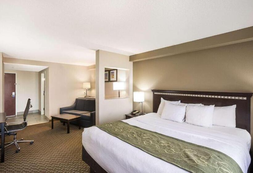 스위트 킹사이즈 침대, Comfort Suites Forsyth Near I75
