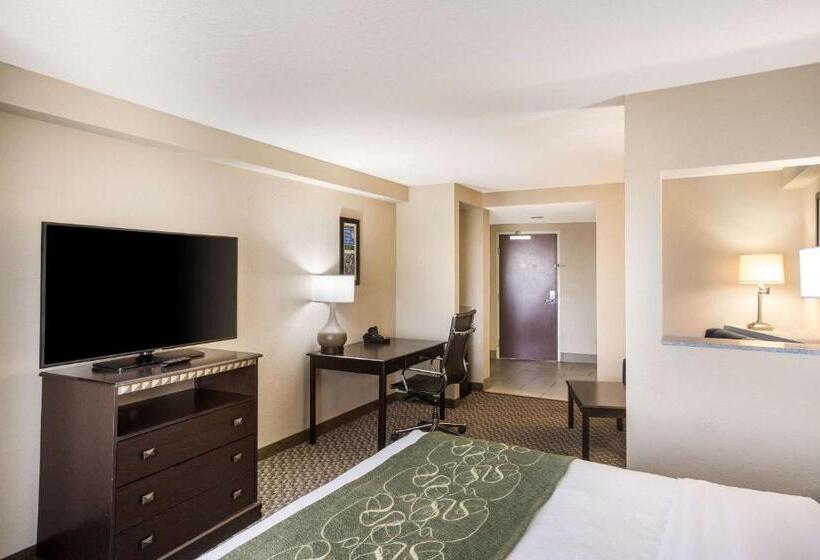 جناح سرير كينج, Comfort Suites Forsyth Near I75