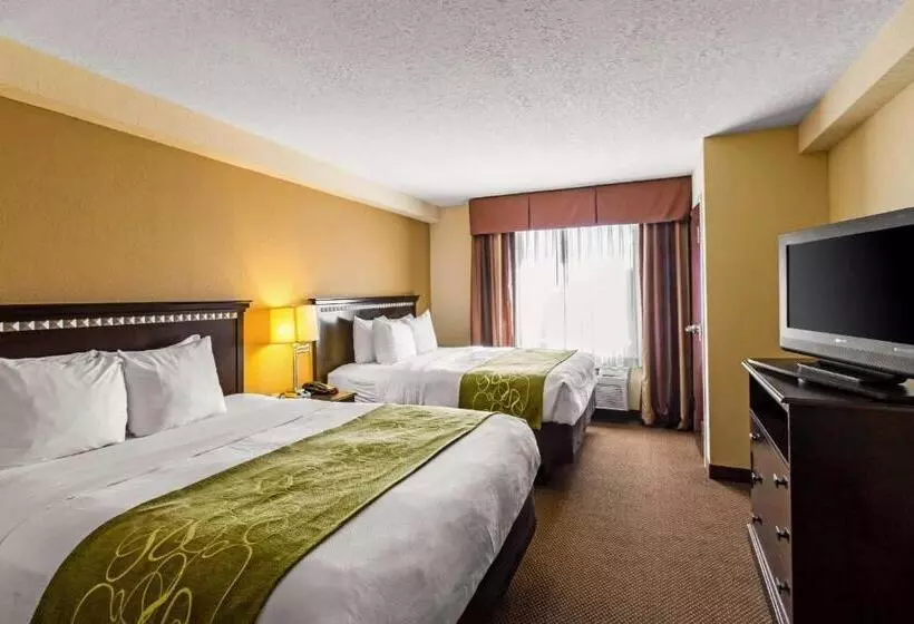 スイート, Comfort Suites Forsyth Near I75