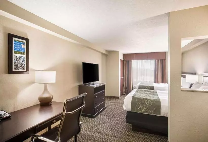 スイート, Comfort Suites Forsyth Near I75