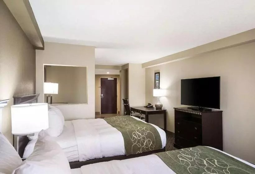 スイート, Comfort Suites Forsyth Near I75