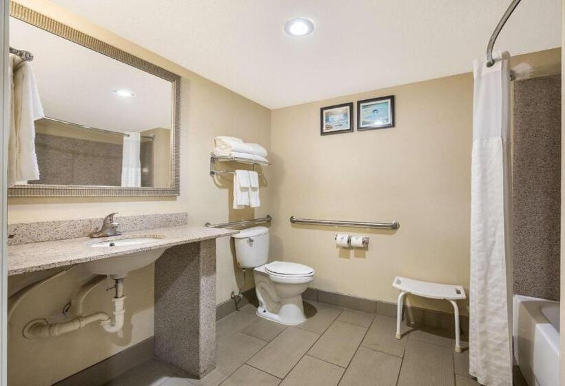 جناح لذوى الاحتياجات الخاصة, Comfort Suites Forsyth Near I75