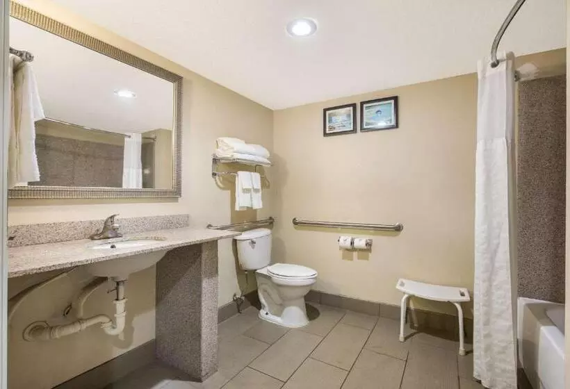 身障者適用スイートルーム, Comfort Suites Forsyth Near I75