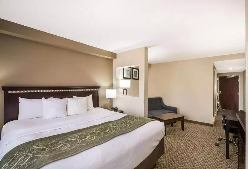 身障者適用スイートルーム, Comfort Suites Forsyth Near I75