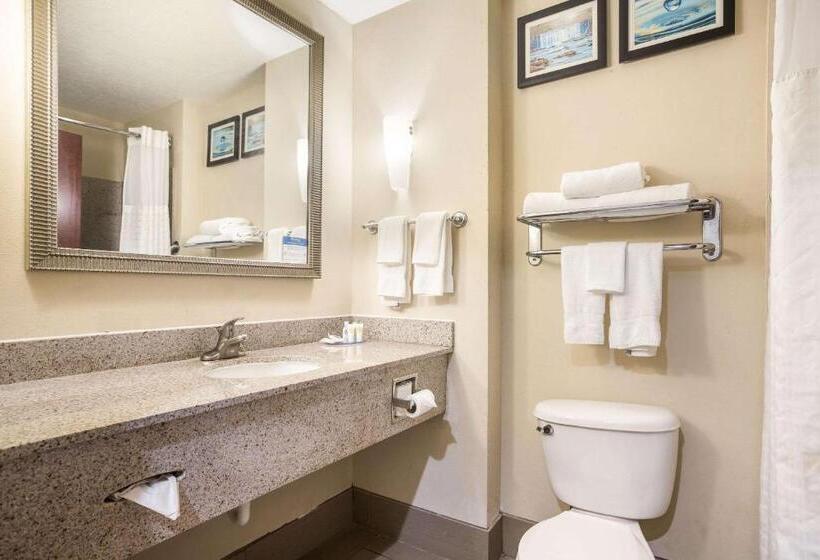 جناح لذوى الاحتياجات الخاصة, Comfort Suites Forsyth Near I75