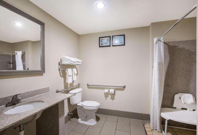 جناح لذوى الاحتياجات الخاصة, Comfort Suites Forsyth Near I75