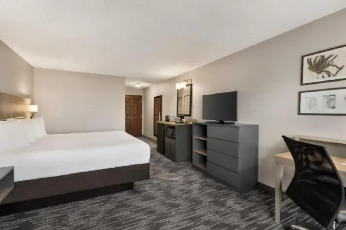 キングサイズベッドのスタンダードルーム, Country Inn & Suites By Radisson, Boise West   Meridian