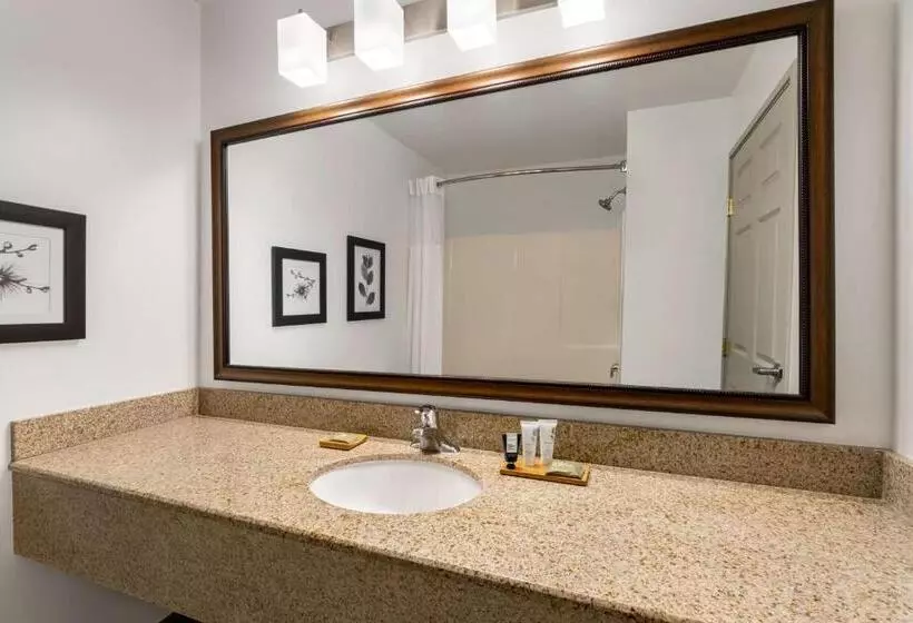 スタンダードルーム, Country Inn & Suites By Radisson, Boise West   Meridian