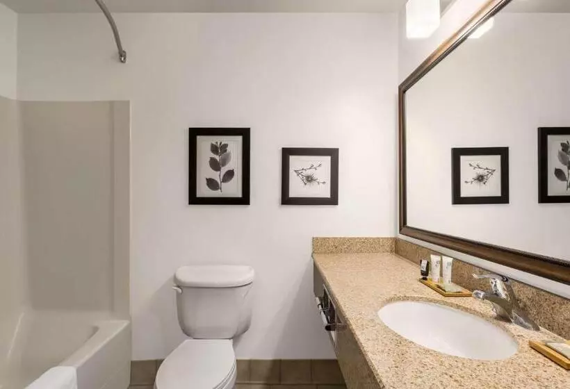 スタンダードルーム, Country Inn & Suites By Radisson, Boise West   Meridian
