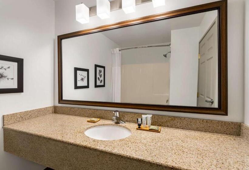 جناح سرير كينج, Country Inn & Suites By Radisson, Boise West   Meridian