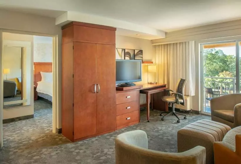 ２ベッドスイートルーム, Courtyard Jacksonville Orange Park