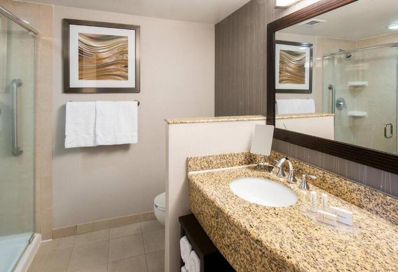 חדר סטנדרט, מיטת קינג, מותאם לאדם עם מוגבלויות, Courtyard Jacksonville Orange Park