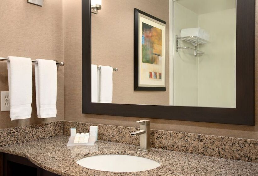 اتاق استاندارد, Hilton Garden Inn Houston Nw America Plaza