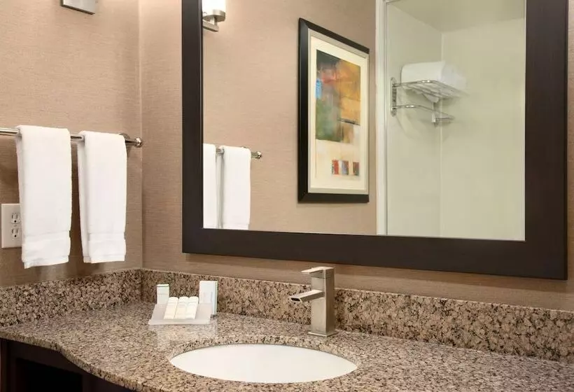 スタンダードルーム, Hilton Garden Inn Houston Nw America Plaza