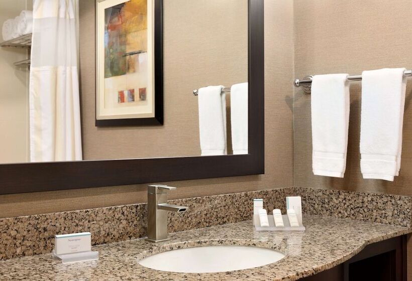 스탠다드 룸, Hilton Garden Inn Houston Nw America Plaza