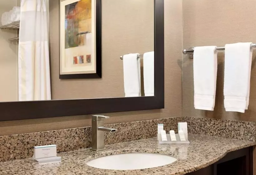 身障者適用スタンダードルーム, Hilton Garden Inn Houston Nw America Plaza