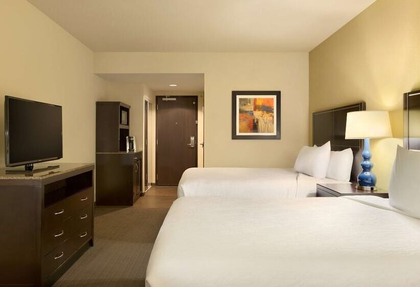 장애인을 위한 스탠다드 룸, Hilton Garden Inn Houston Nw America Plaza