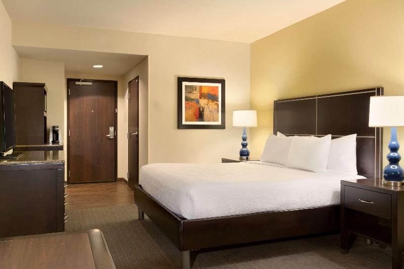 سوئیت با تخت بزرگ, Hilton Garden Inn Houston Nw America Plaza