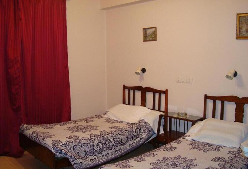 اتاق استاندارد با سرویس بهداشتی مشترک, Lotus Hotel Cairo