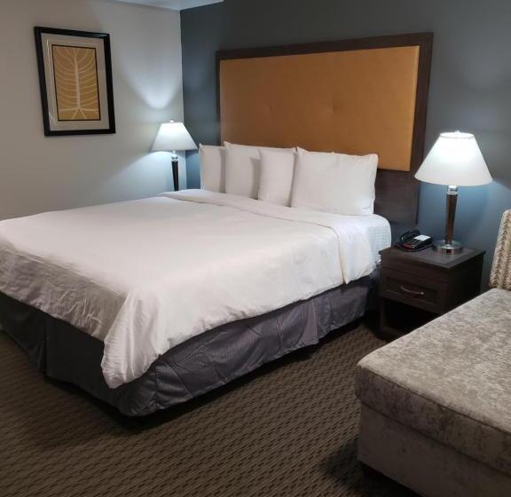 带大床的标准间, Portofino Inn Burbank