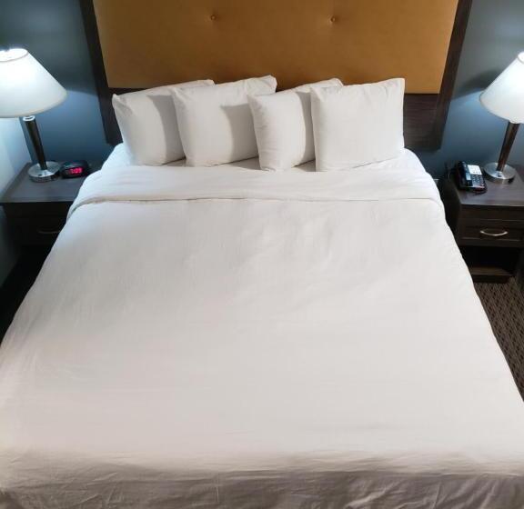 带大床的标准间, Portofino Inn Burbank