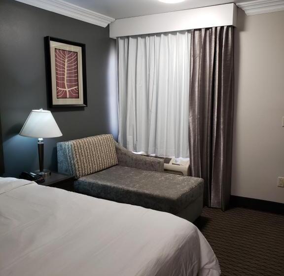 带大床的标准间, Portofino Inn Burbank