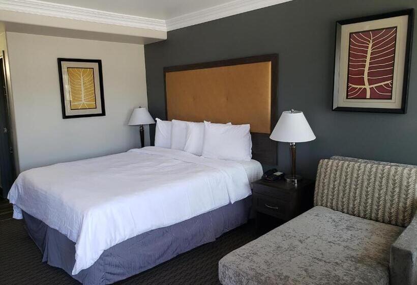 带大床的标准间, Portofino Inn Burbank