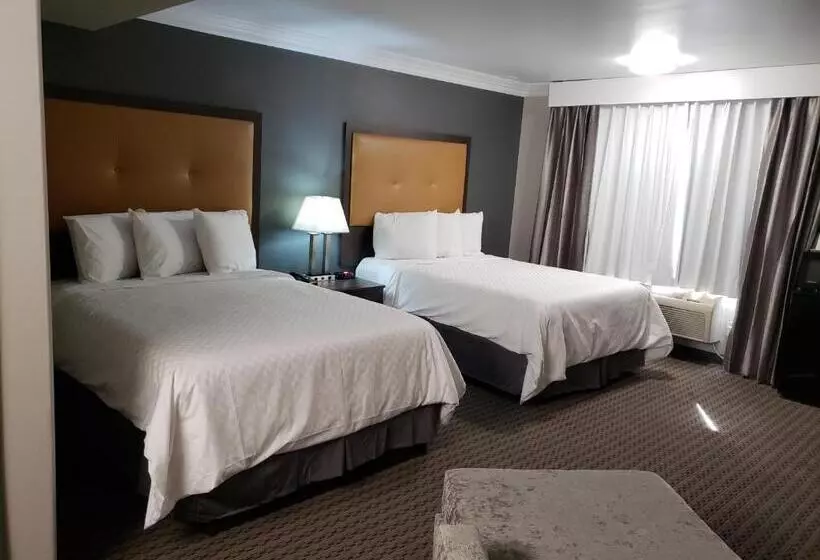 اتاق استاندارد, Portofino Inn Burbank