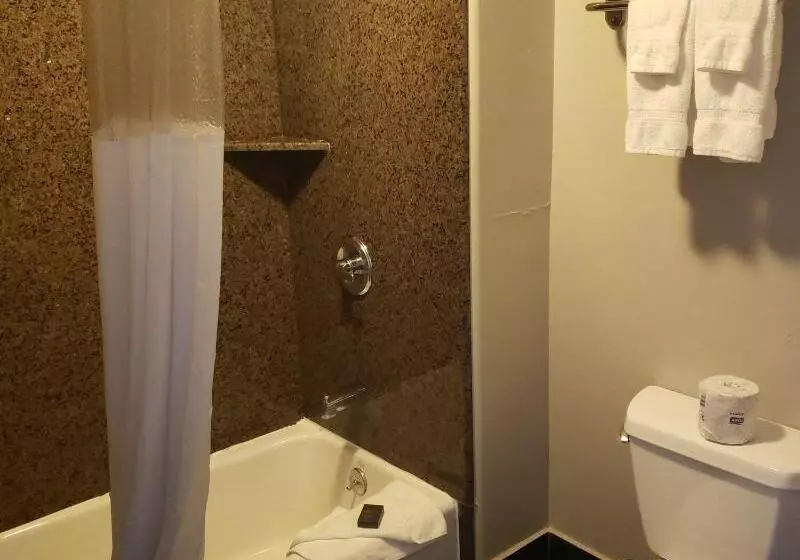 اتاق استاندارد با تخت بزرگ, Portofino Inn Burbank