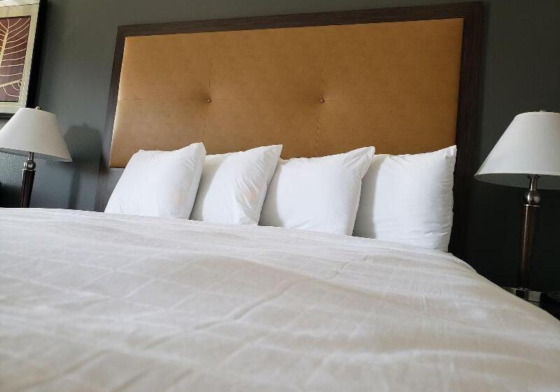 带大床的标准间, Portofino Inn Burbank
