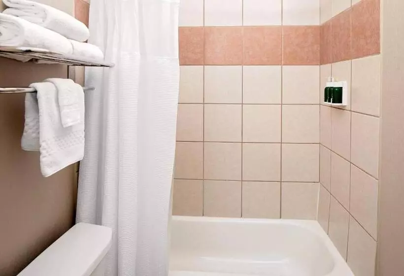 キングサイズベッドのスイートルーム, Springhill Suites By Marriott Ardmore
