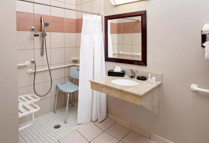 キングサイズベッドのスイートルーム, Springhill Suites By Marriott Ardmore