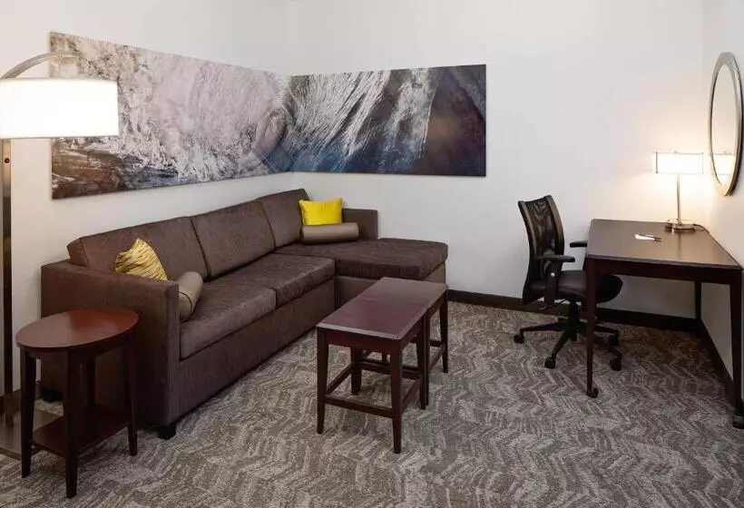 キングサイズベッドのスイートルーム, Springhill Suites By Marriott Ardmore