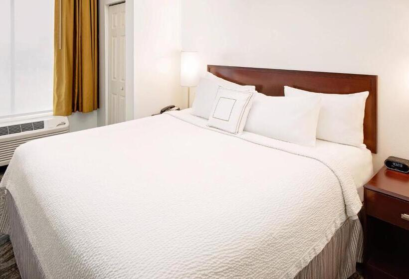 스위트 킹사이즈 침대, Springhill Suites By Marriott Ardmore