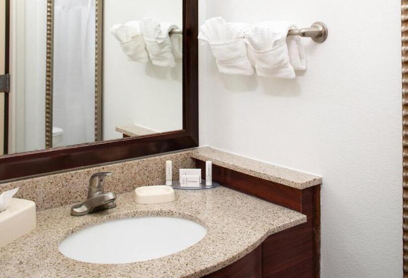 스위트, Springhill Suites By Marriott Ardmore